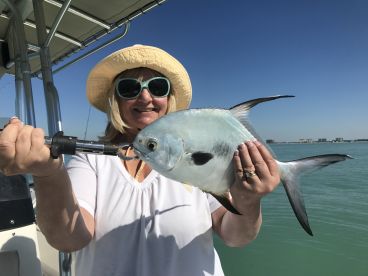 Sarasota Report Photo 1