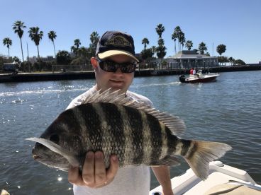 Sarasota Report Photo 2