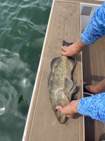 St. Petersburg Report Photo 2