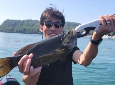 Youngstown Report Photo 2