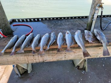 Trout fishing is heating up!!