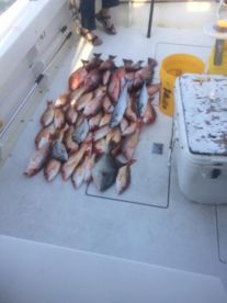 Fort Pierce Report Photo 1