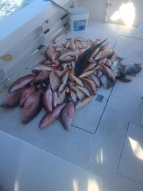 Fort Pierce Report Photo 2