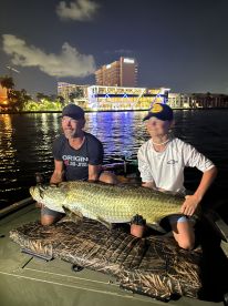 Tarpon