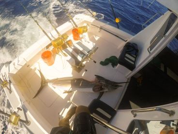 Le Morne Report Photo 2