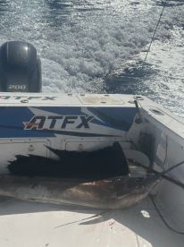 Jordan Report Photo 3