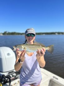 Beaufort Report Photo 1