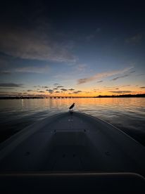 Livebait and Poppers