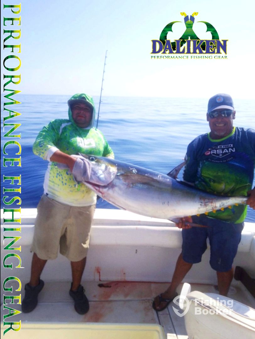 San Jose del Cabo Report Photo 0