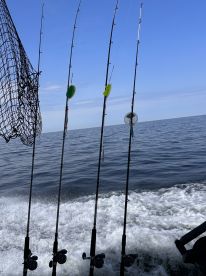 Lorain Report Photo 1