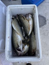 Lorain Report Photo 2
