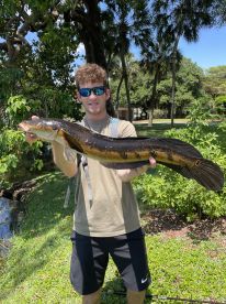 Trying to catch peacocks in Snakehead ke