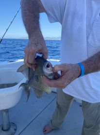 San Jose del Cabo Report Photo 2