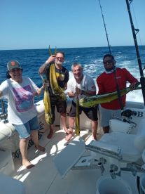 6 for 6 Dorados Mahi Mahi 