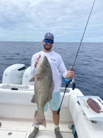 Nice Grouper on a