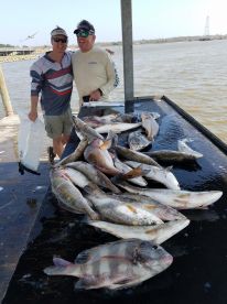 Galveston Report Photo 2
