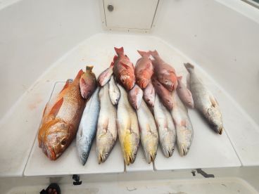 Panama City Report Photo 1