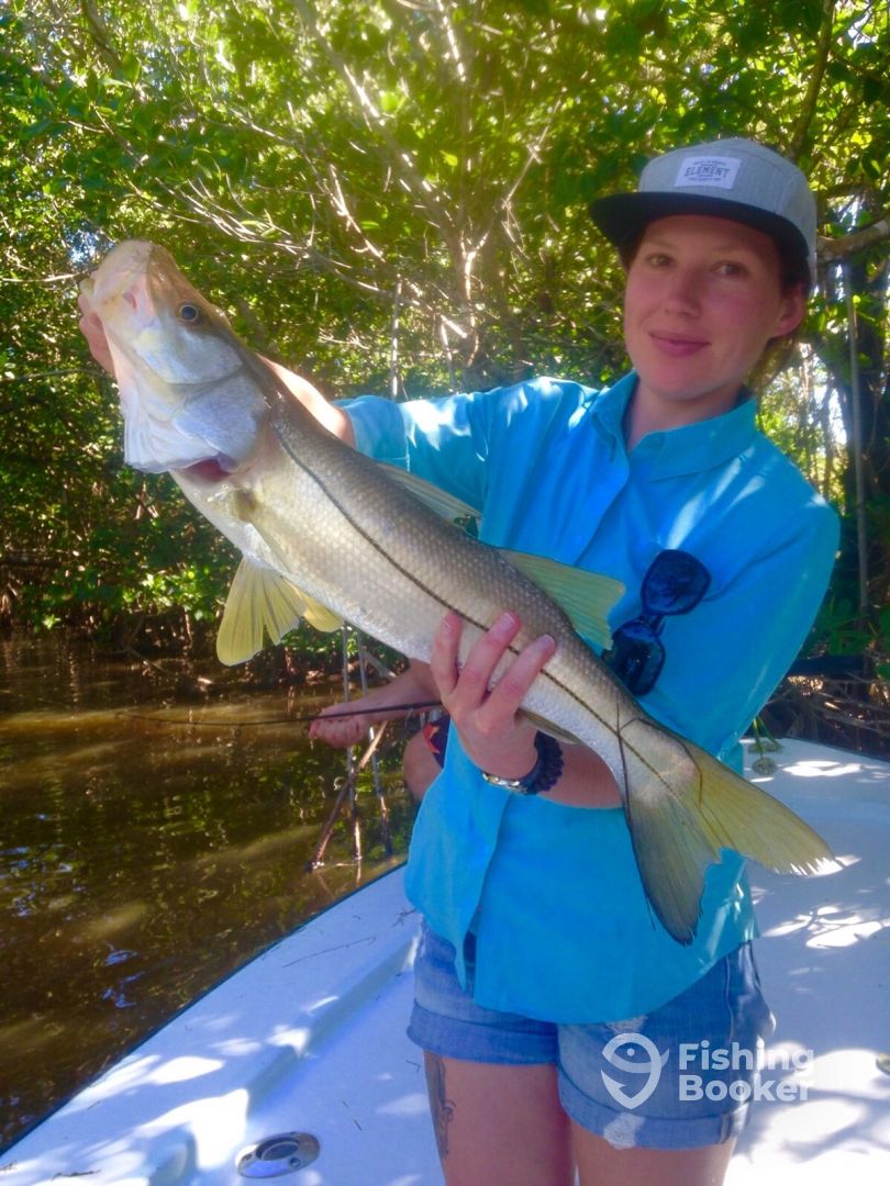 SNOOK