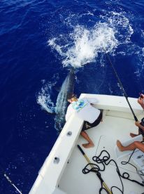Kailua-Kona Report Photo 1