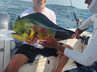 Panama City Report Photo 1