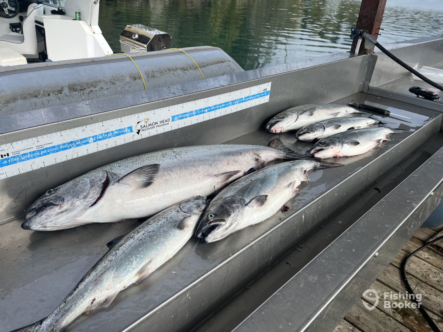 Sooke Report Photo 0