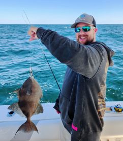 Fall Sea Bass season is in full swing! 