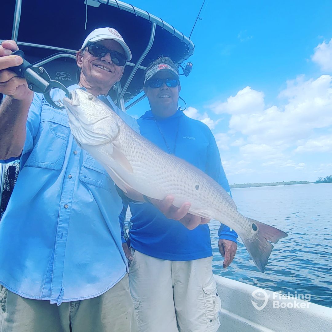 Bonita Springs Report Photo 0