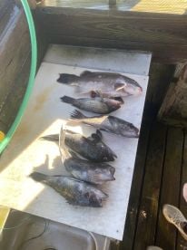 Brigantine Report Photo 2