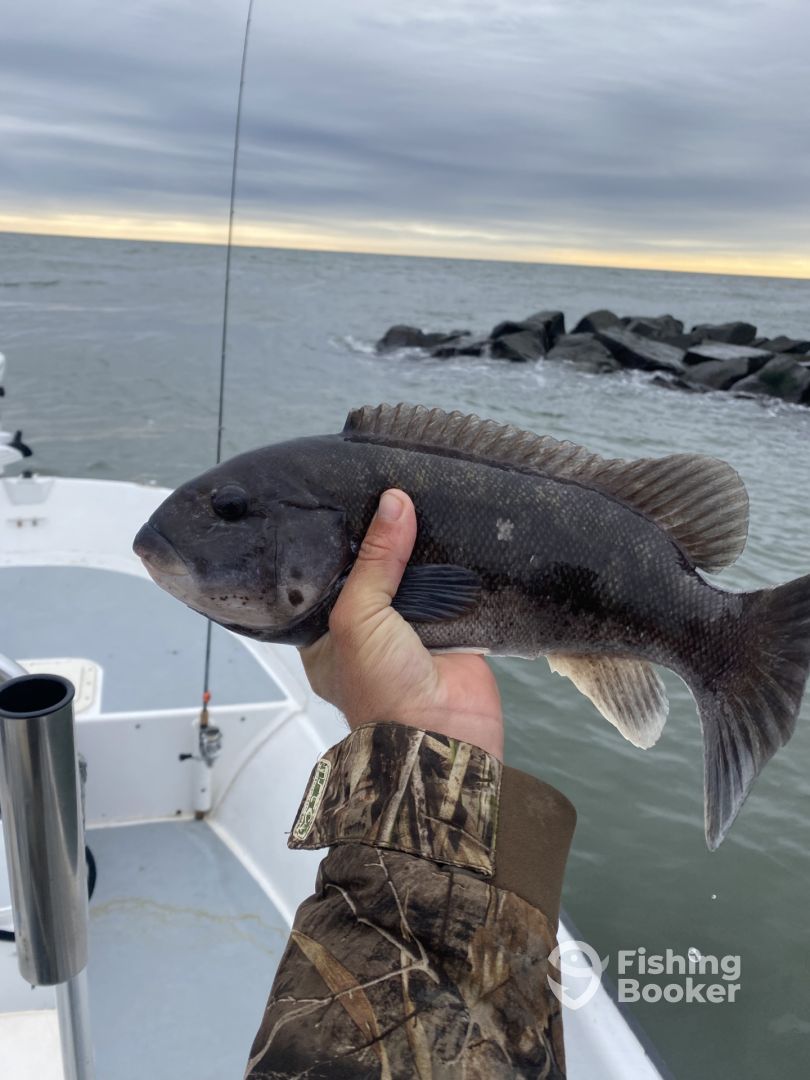 Brigantine Report Photo 0