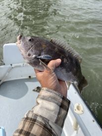 Brigantine Report Photo 2