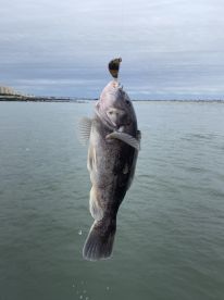Brigantine Report Photo 1