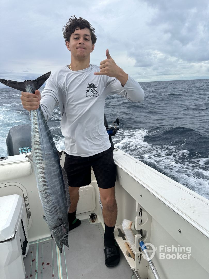 Miami Report Photo 0
