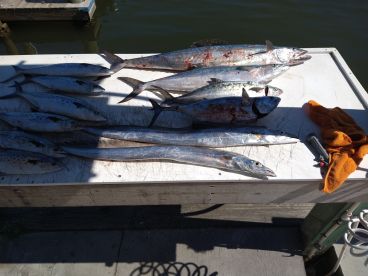Sneads Ferry Report Photo 1