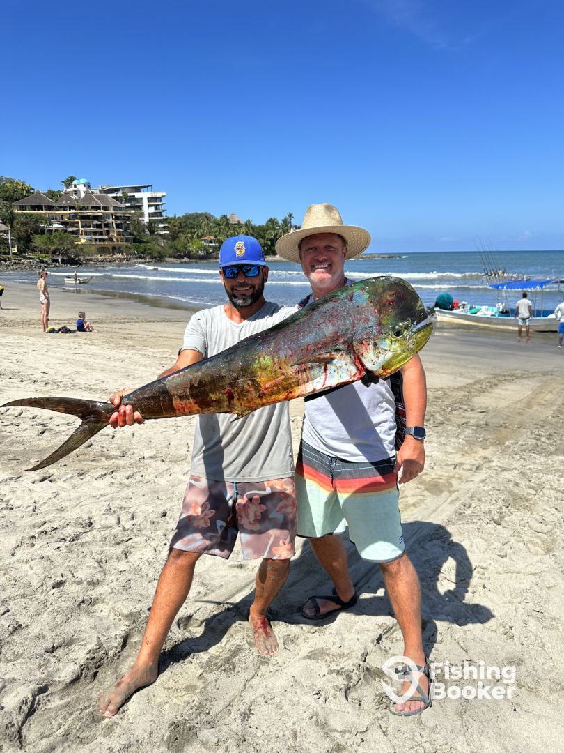 Sayulita Report Photo 0
