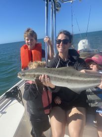 Sarasota Report Photo 1