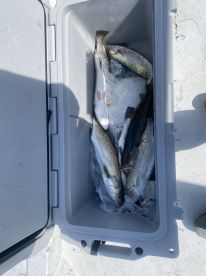 Rockport Report Photo 1