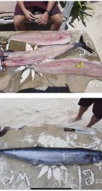 Watamu Report Photo 2