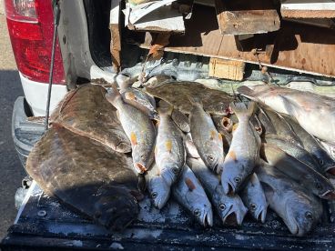 Fall time flatties are here