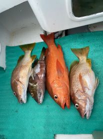 Herradura Report Photo 2