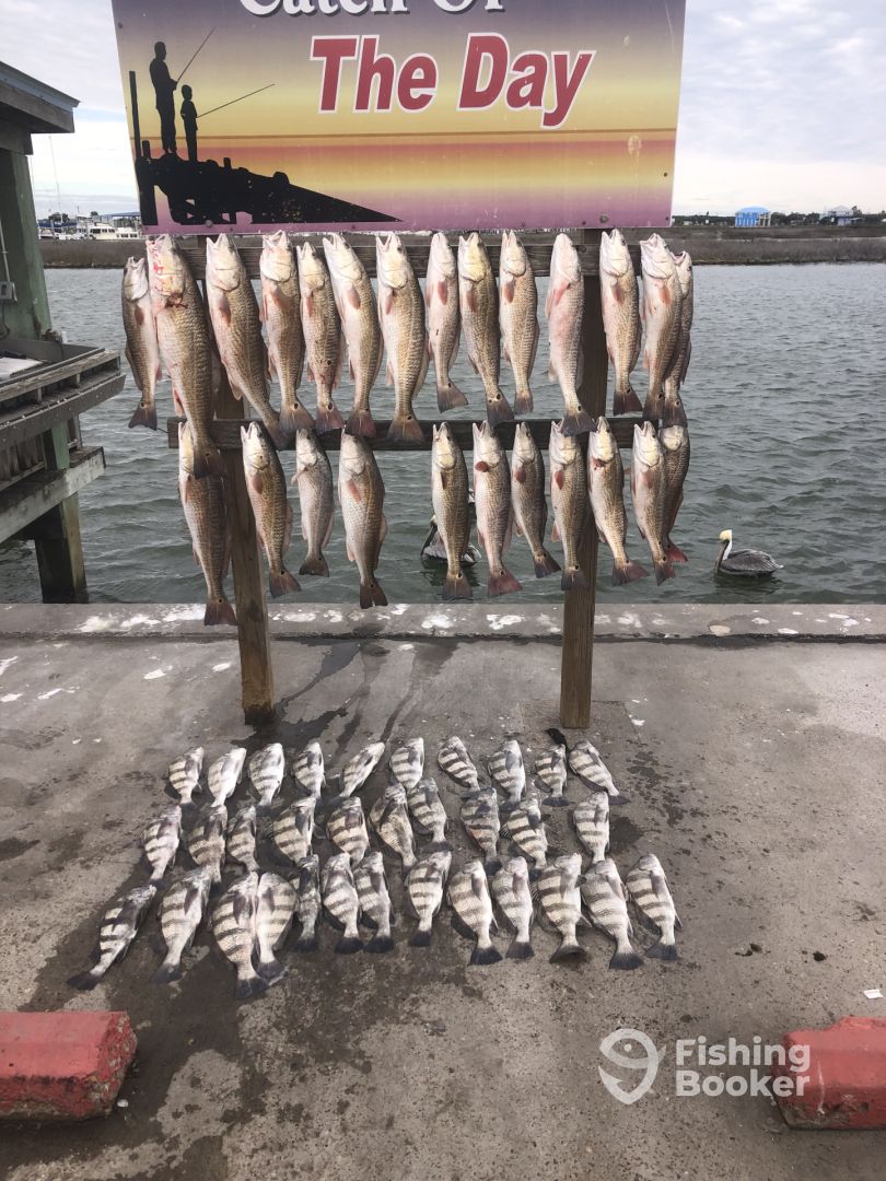 Rockport Report Photo 0