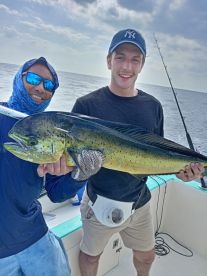 Nice colors 