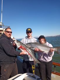 RED HOT BIG STRIPED BASS FISHING!