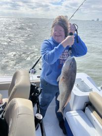 Bullred Run