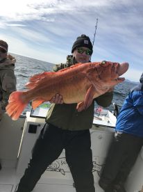 Kodiak Report Photo 2