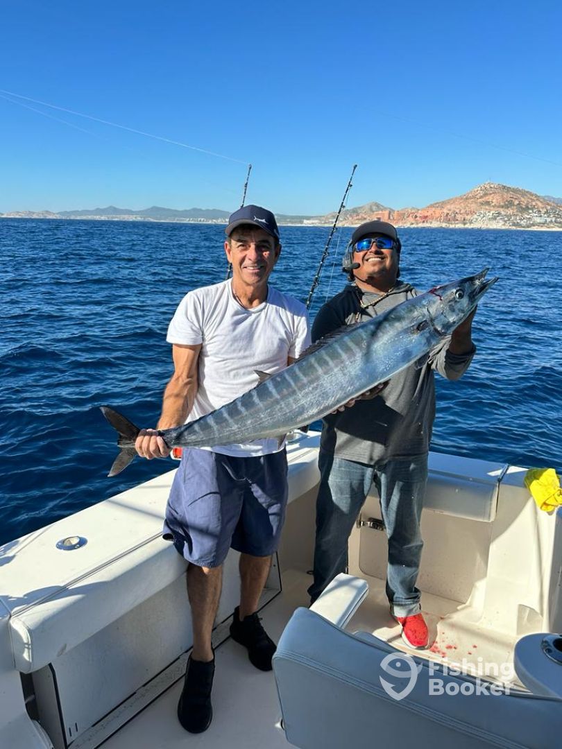 San Jose del Cabo Report Photo 0