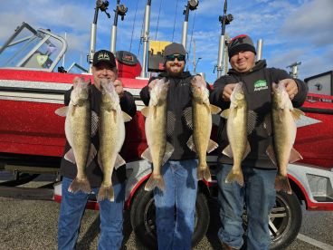 Lake Erie Walleye