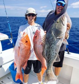 Grouper Snapper Insight 