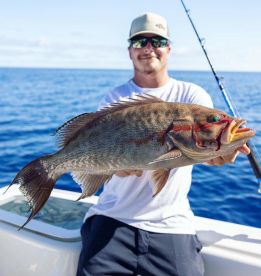 Grouper Concentrate Catch