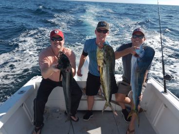 San Jose del Cabo Report Photo 2