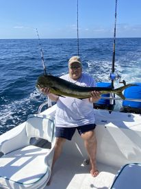 Puerto Vallarta Report Photo 2
